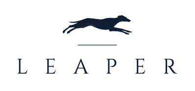 Leaper Land Promotion Logo